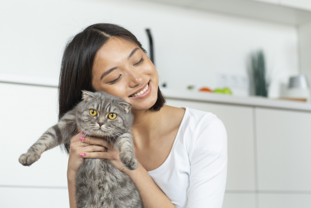 レンジフード上の猫対策と安心のキッチングッズ