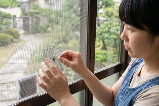 小さな破れに便利な網戸補修シールの活用
