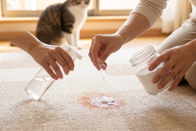 生理の経血や鼻血をセスキ水で落とす